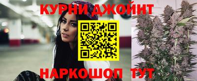 мяу мяу мука Кандалакша